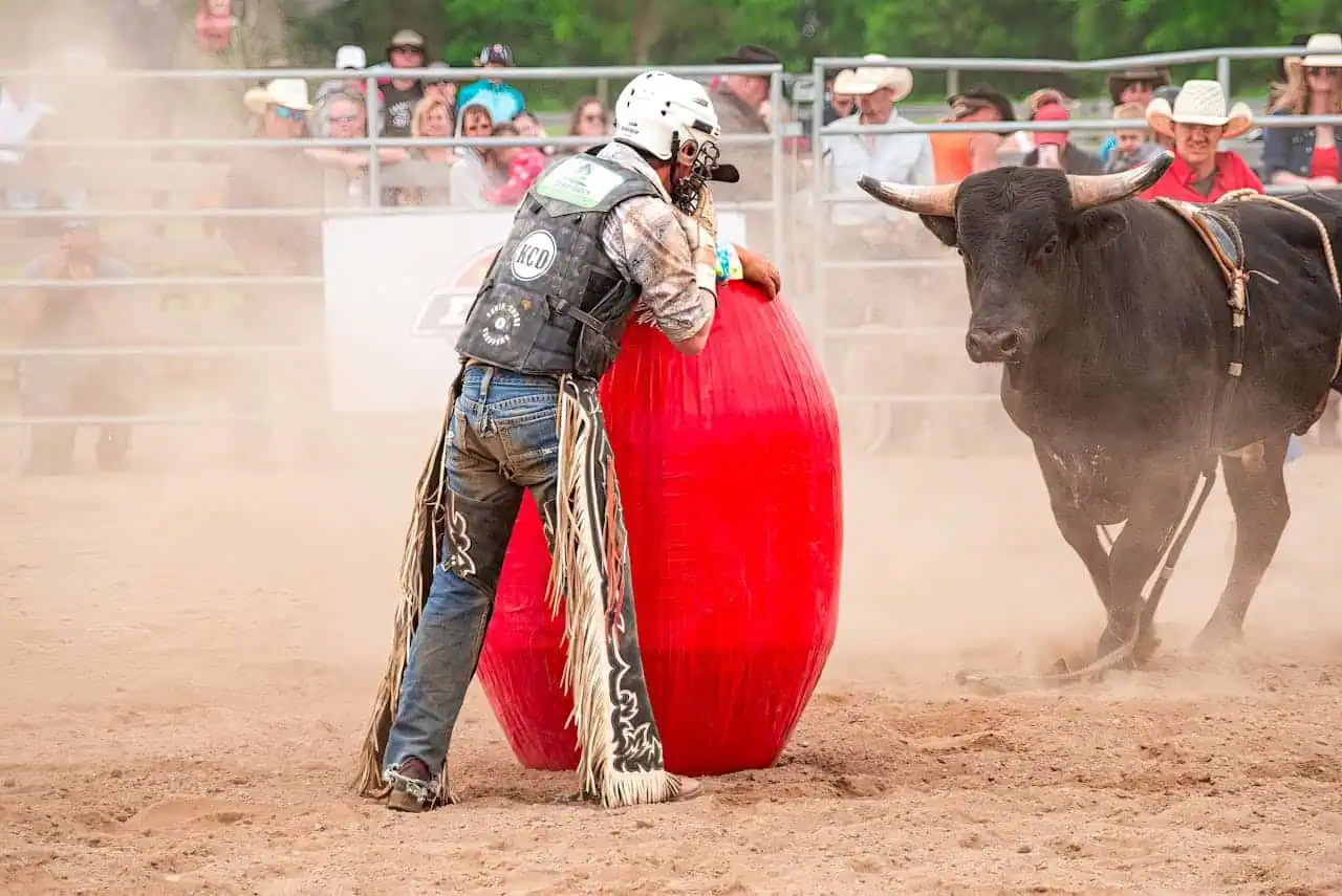 Rican Riding Bulls